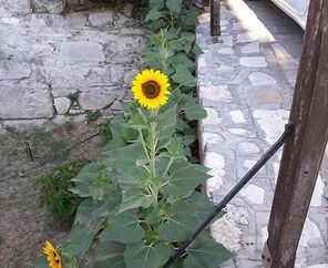 Stratos Hotel